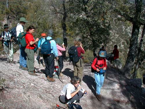 begin-group.jpg