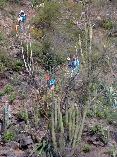descend2rio-2.jpg