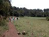 approach